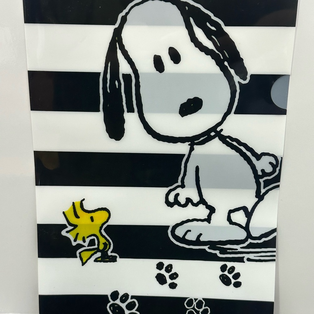 Snoopy and Woodstock Striped Folder